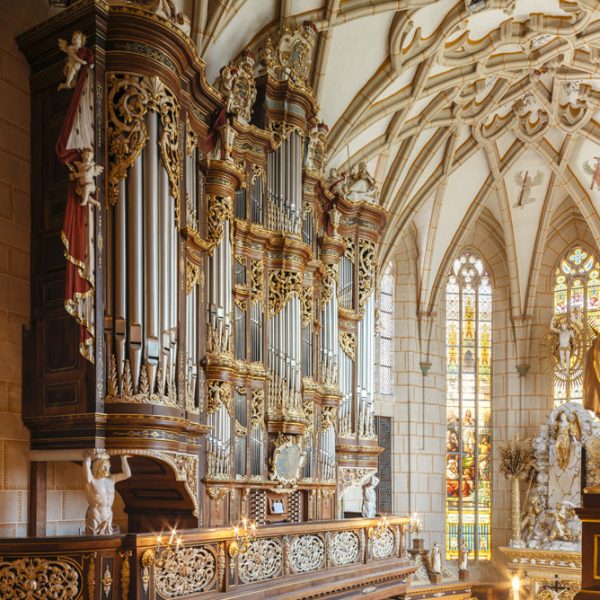 Residenzschloss Altenburg, Schlosskirche mit Trost-Orgel Residenzschloss Altenburg