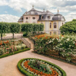 Rosenblüte am Rokokoschloss_HF